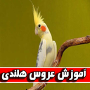 آموزش عروس هلندی