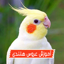 آموزش عروس هلندی