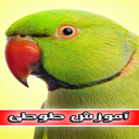 اموزش انواع طوطی