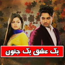 یک عشق یک جنون