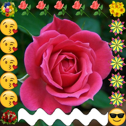 قاب عکس