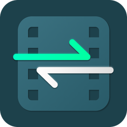 Video Converter - Remux