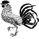 Rooster Crowing Sound