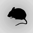 Mouse Sounds