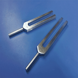Tuning Fork Sounds