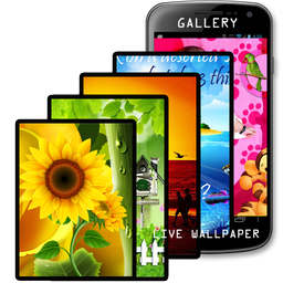 Photo Gallery Live Wallpaper