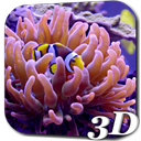 Aquarium Video Live Wallpaper