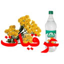araghiyyat