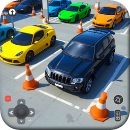 پارکینگ حرفه ای