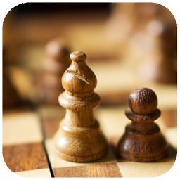 بازی شطرنج حرفه ای