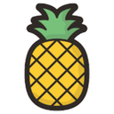 Ananas Chat