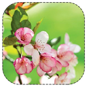 آیینه ی زندگی