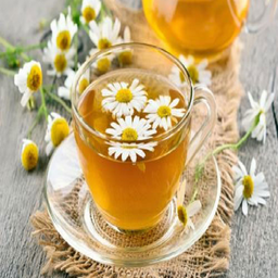 Chamomile