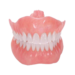 دانستنی های دندان