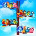 Sort Color Bird