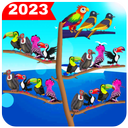 Sort Bird Games 2023