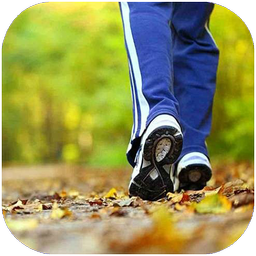 پیاده روی
