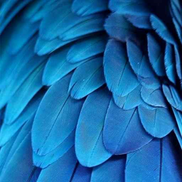 پس زمینه گرافیکی