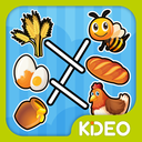 Kids Brain Games for Preschool