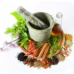 گیاه درمانی