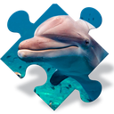 Free Dolphin Jigsaw Puzzles