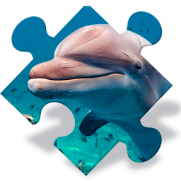 Free Dolphin Jigsaw Puzzles