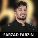 farzad farzin