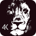 والپیپرهای سیاه و سفید 4K