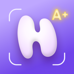 Homework Helper: Math Solver