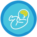 افزایش هوش جنین