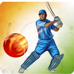 Cricket India Run Chase