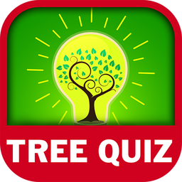 National Tree Quiz Game 2022