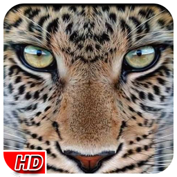 Leopard Live Wallpaper