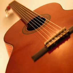 برترین آموزش گیتار