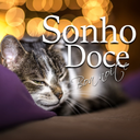 Boa Noite Amor - Good Night