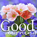 Good Morning Image Wishes