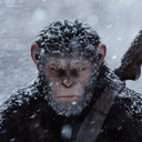 Planet of the Apes Wallpapers