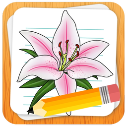 آموزش طراحی انواع گل