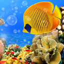 Aquarium Live Wallpaper