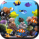 Aquarium Live Wallpaper