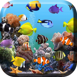 Aquarium Live Wallpaper