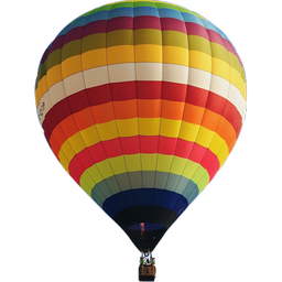 Balloonfly