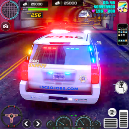 Police Car Chase Master