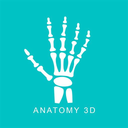 Anatomy 3D