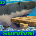 Survival Boat House Building