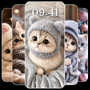 Cute Kitten Wallpaper