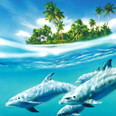 Dolphin Live Wallpaper