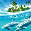 Dolphin Live Wallpaper