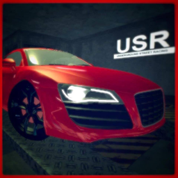 Underground Street Racing(USR)