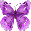 Butterfly Flower for DoodleTex
